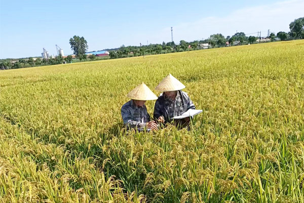 院风院貌