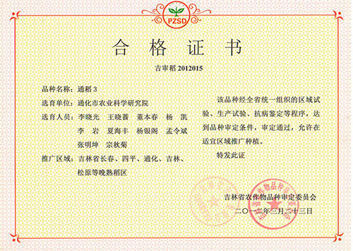 通稻3