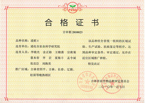 通稻1