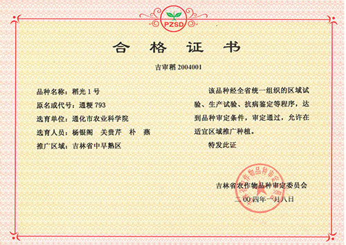 稻光1号