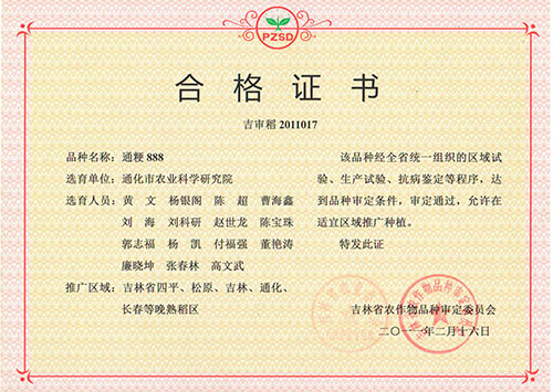 通梗888