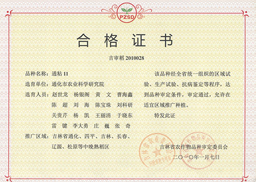 通粘11