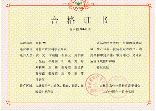 通科29