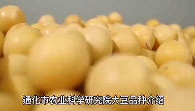 通化市农科院大豆新品种