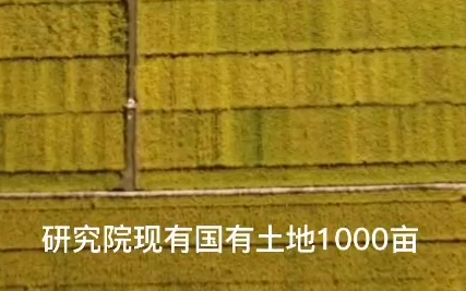 通化市农科院宣传片