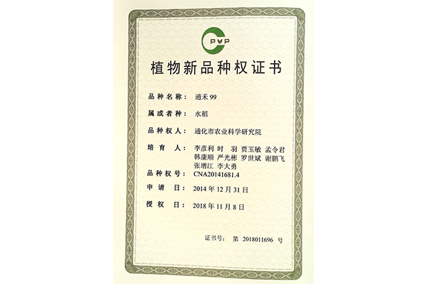水稻证书