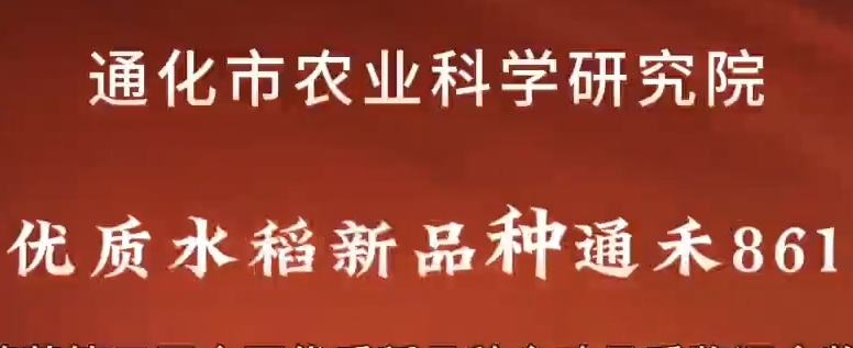 我院水稻新品种通禾861荣获全国优质稻品种食味品质鉴评金奖