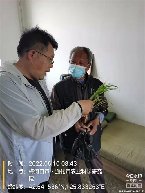院风院貌