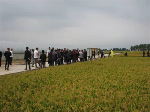 院风院貌