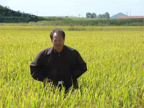 院风院貌
